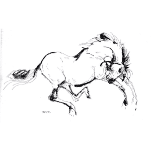 Horse Print B