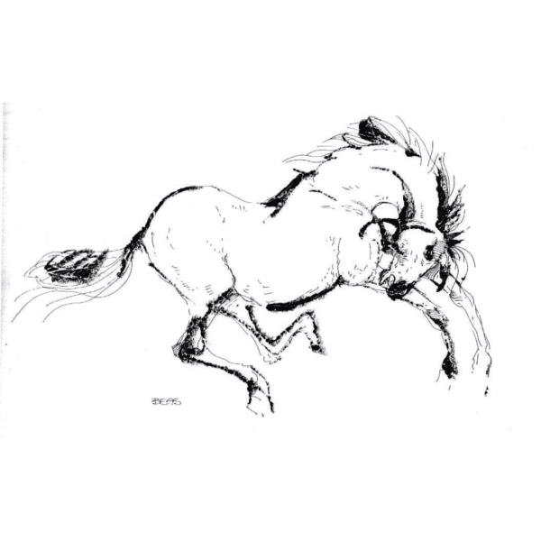 Horse Print B