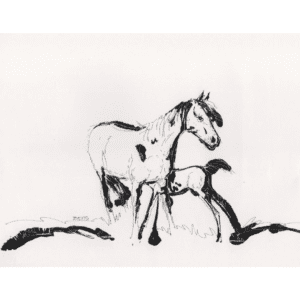 Horse Print C