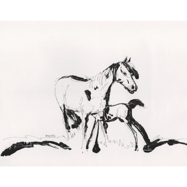 Horse Print C
